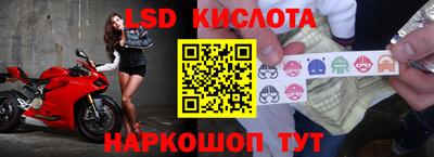 шишки Можайск