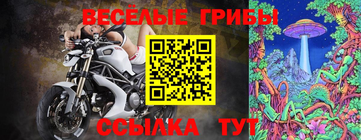 Галлюциногенные грибы Magic Shrooms Белово